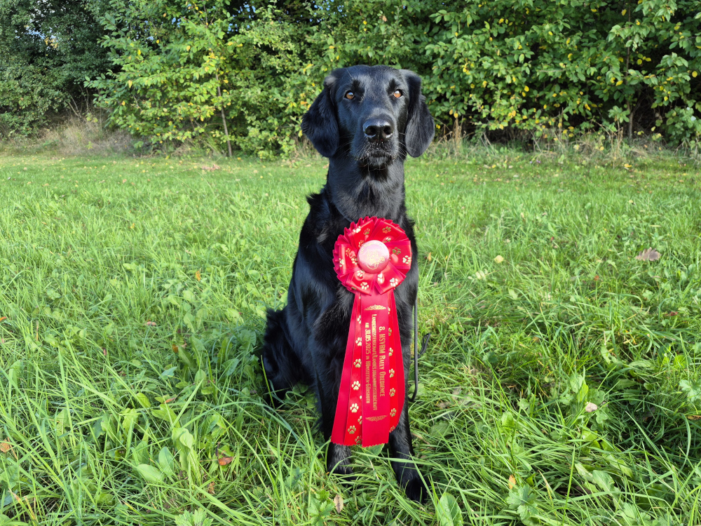 Landesmeisterschaft Rally Obedience
