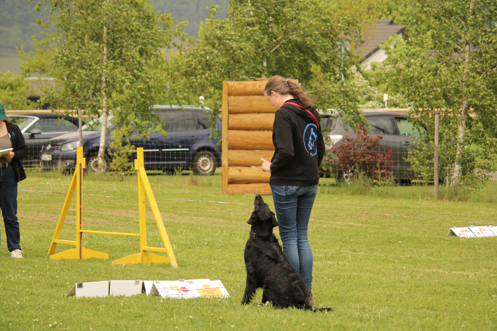 Rally Obedience Prüfungen